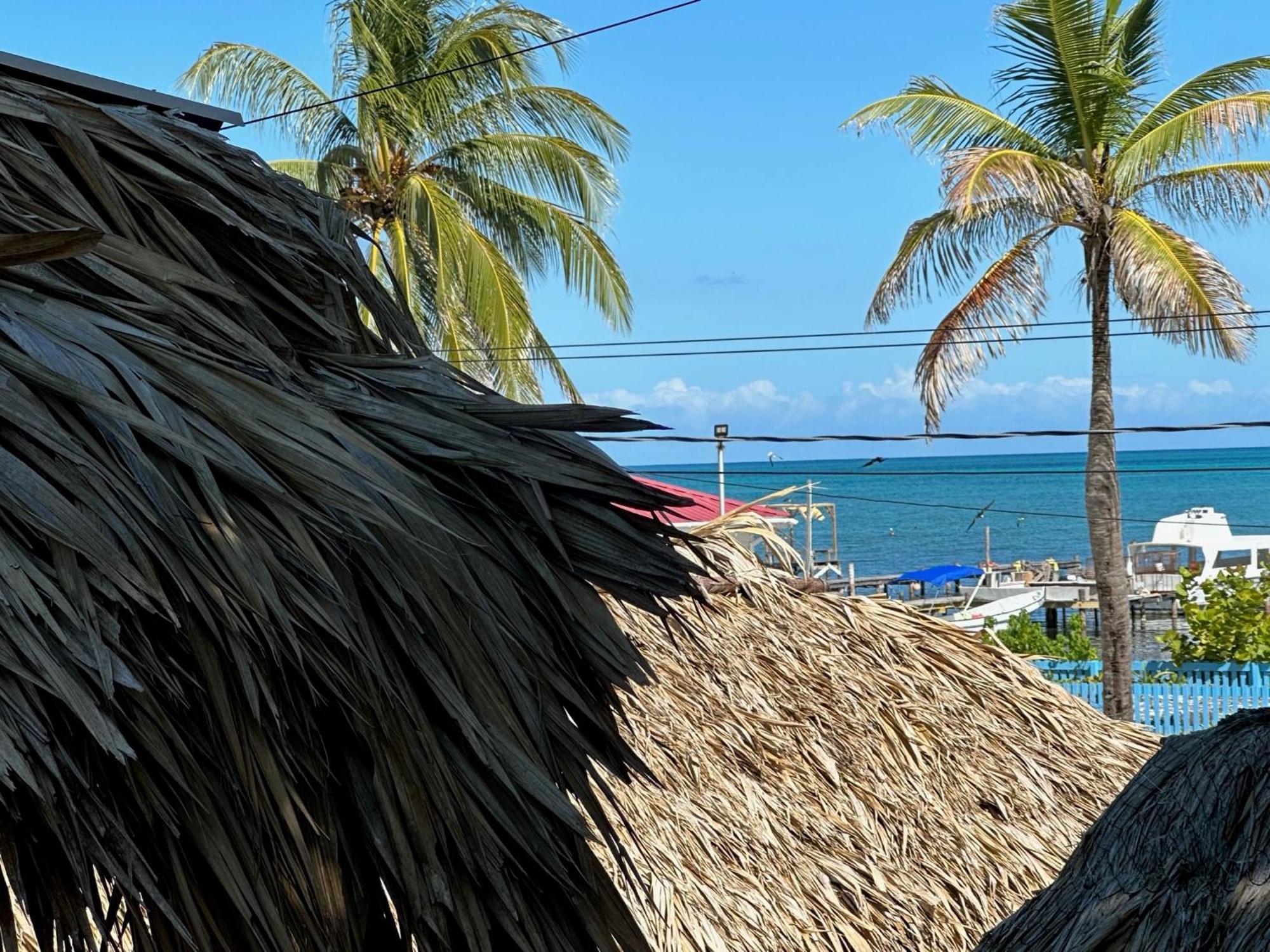 The Bounty Otel Caye Caulker Dış mekan fotoğraf